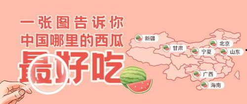 朝阳吃瓜群众一枚,揭秘京城街头巷尾的热辣话题